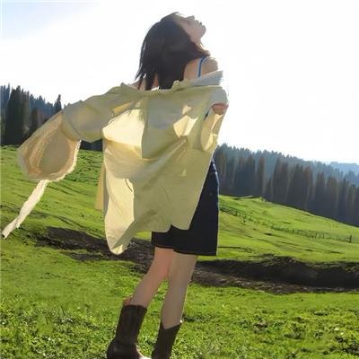 黑蚂蚁