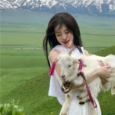 婚前一叮